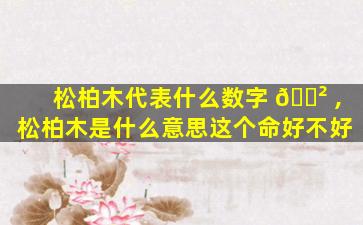 松柏木代表什么数字 🌲 ,松柏木是什么意思这个命好不好